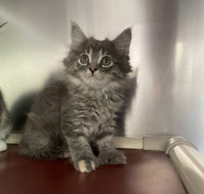 Photo of Ethel