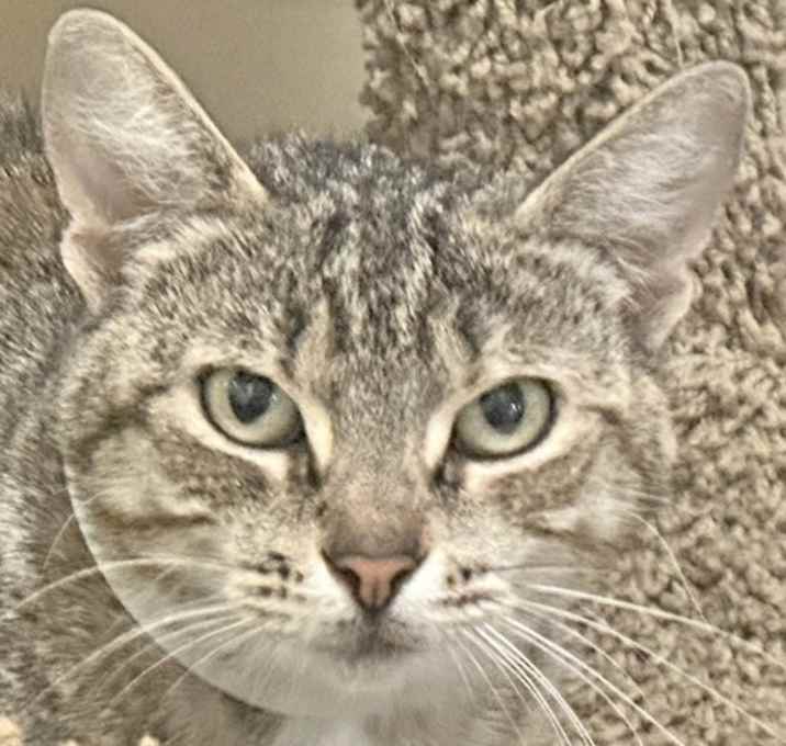 Photo of Effie