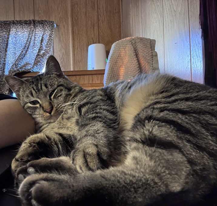 Photo of Timmy