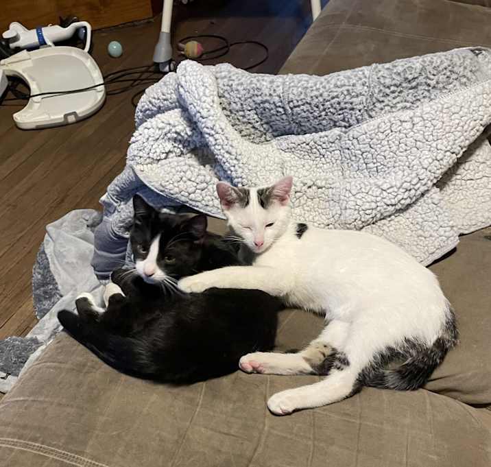 Photo of Gary Waffles & Skeet Skeet