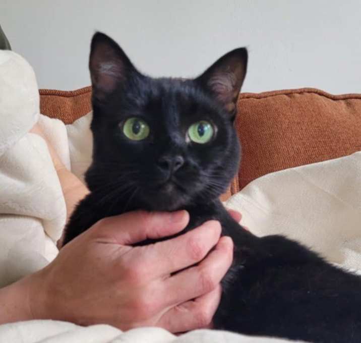 Photo of Boo Boo