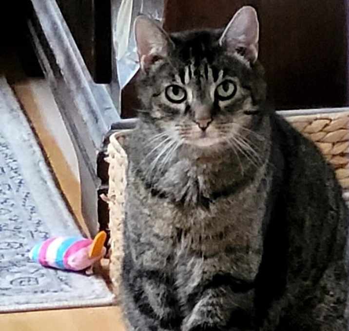 Photo of Pretty Girl