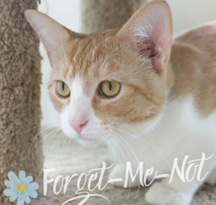 Photo of Snarf