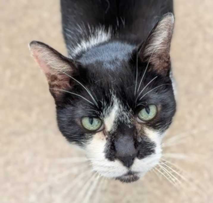 Photo of Spike