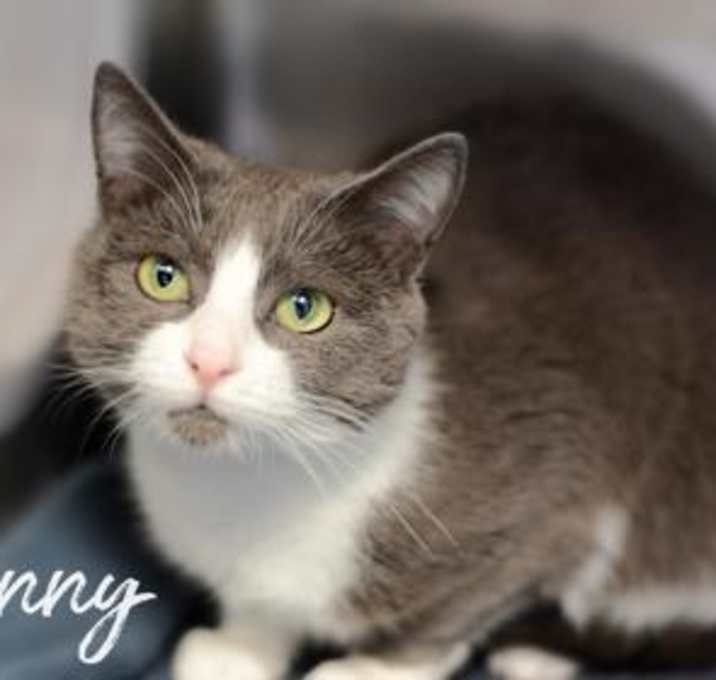 Photo of Penny