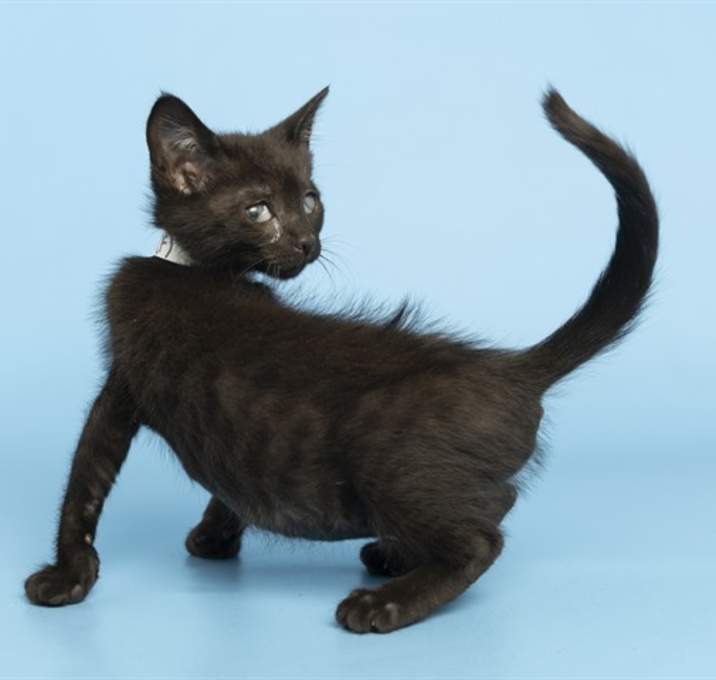 Photo of BEAN