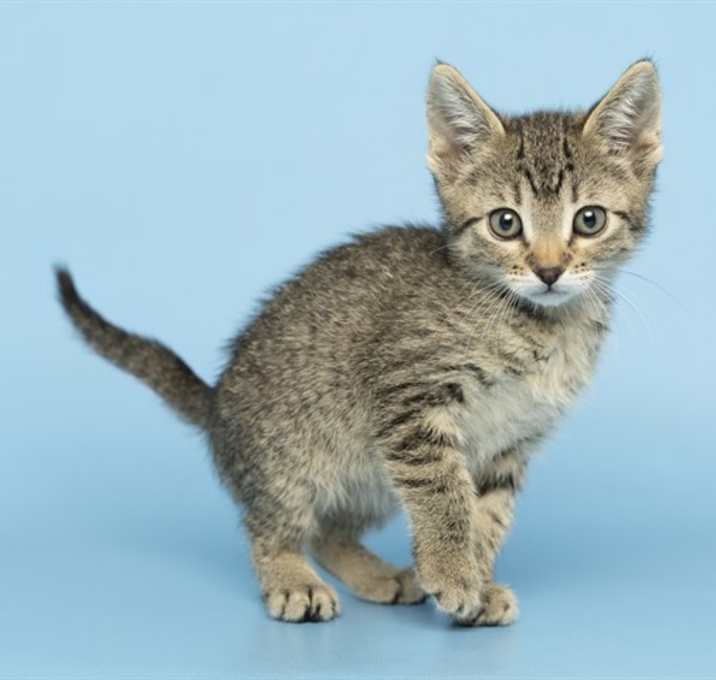 Photo of IVY