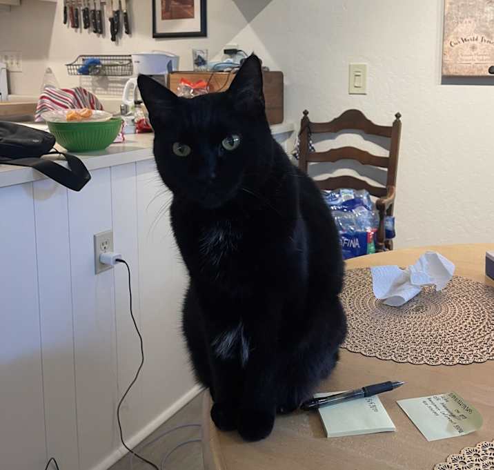 Photo of Annie