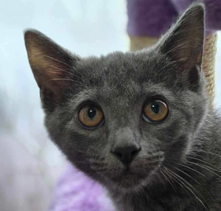 Photo of Harriet
