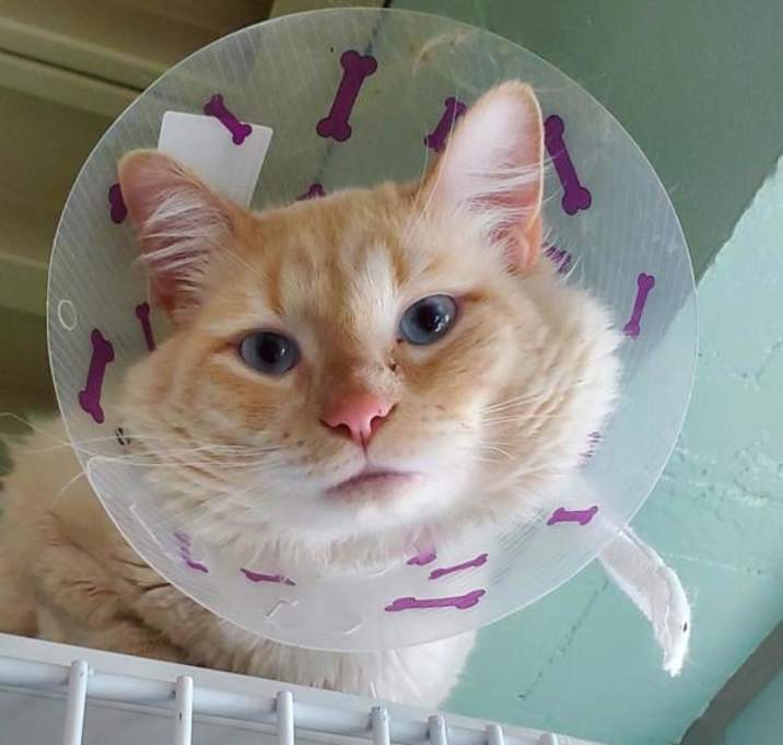 Photo of Monty