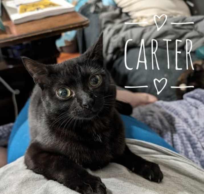 Photo of Carter