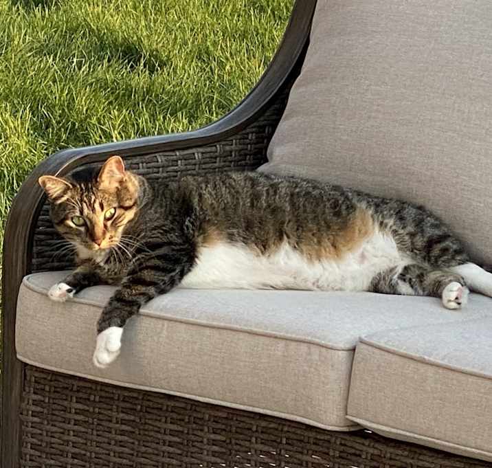 Photo of Binx