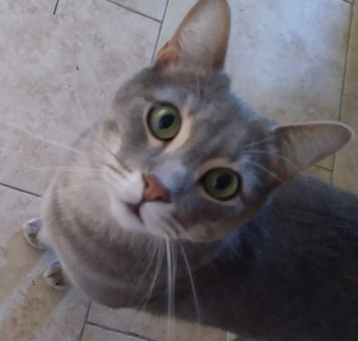 Photo of Dio