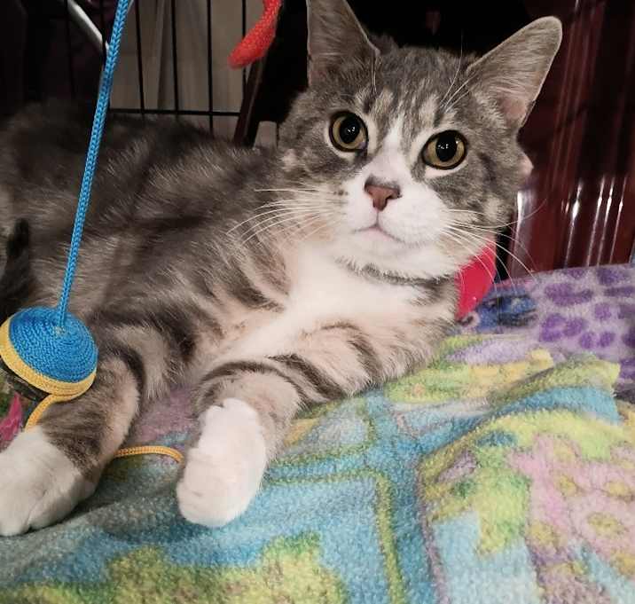 Photo of Gio