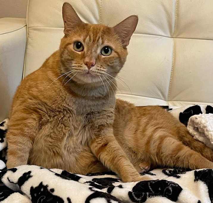 Photo of Felix