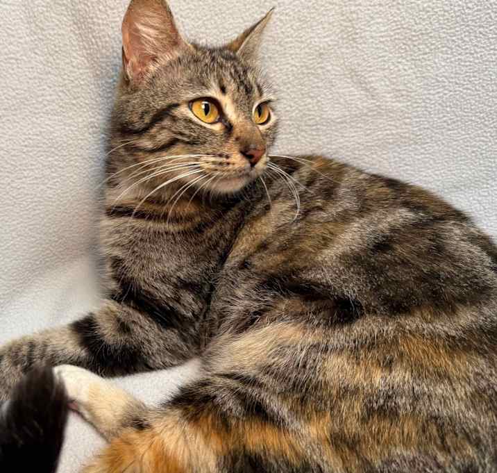 Photo of FIONA