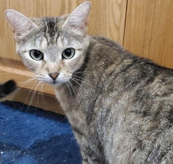 Photo of Kaiya