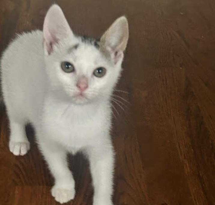 Photo of Moira