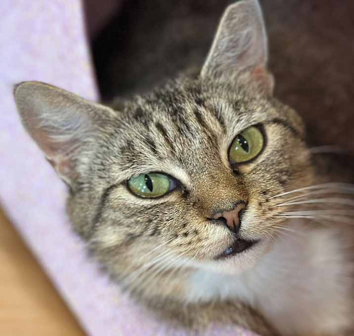 Photo of Medley