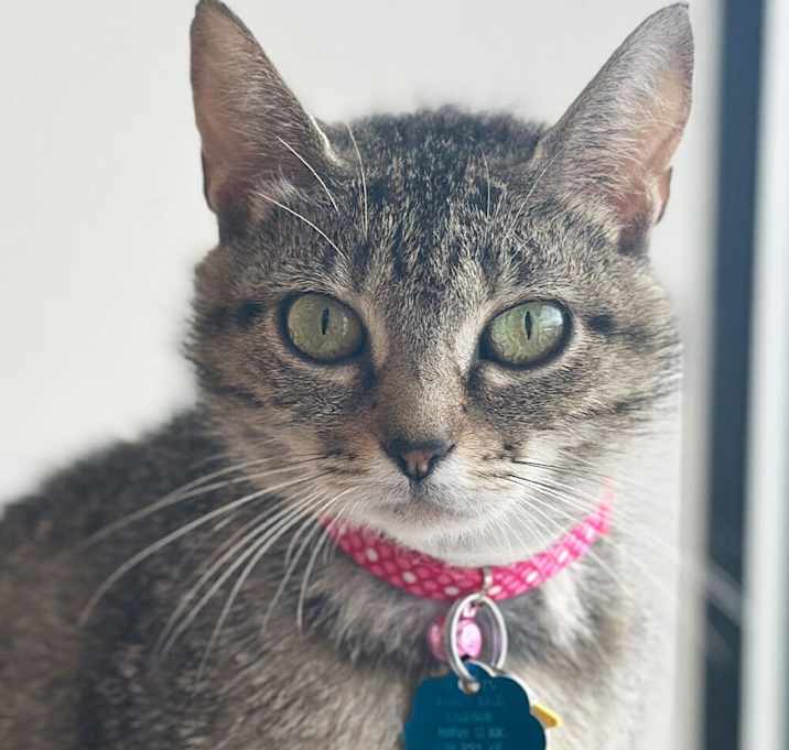 Photo of Isla