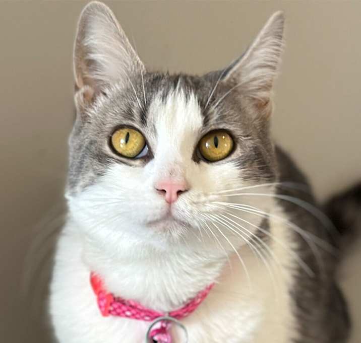 Photo of Angel