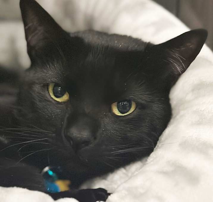 Photo of Mr. Peanut