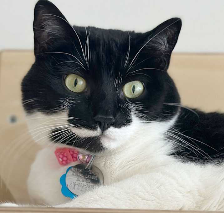 Photo of Kiki