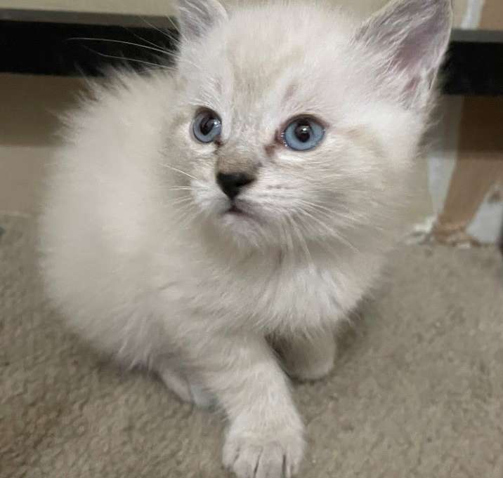 Photo of Bernadette