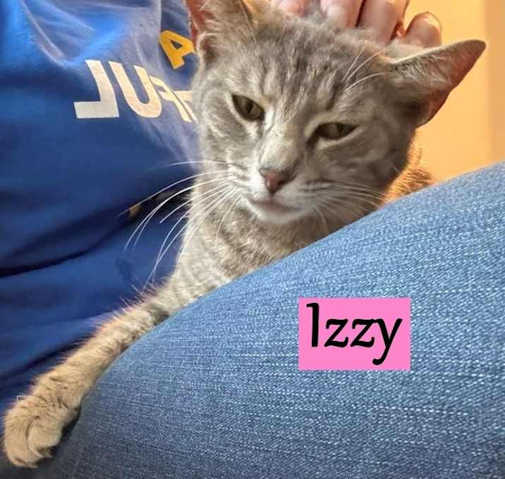 Photo of Izzy