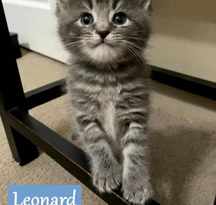 Photo of Leonard