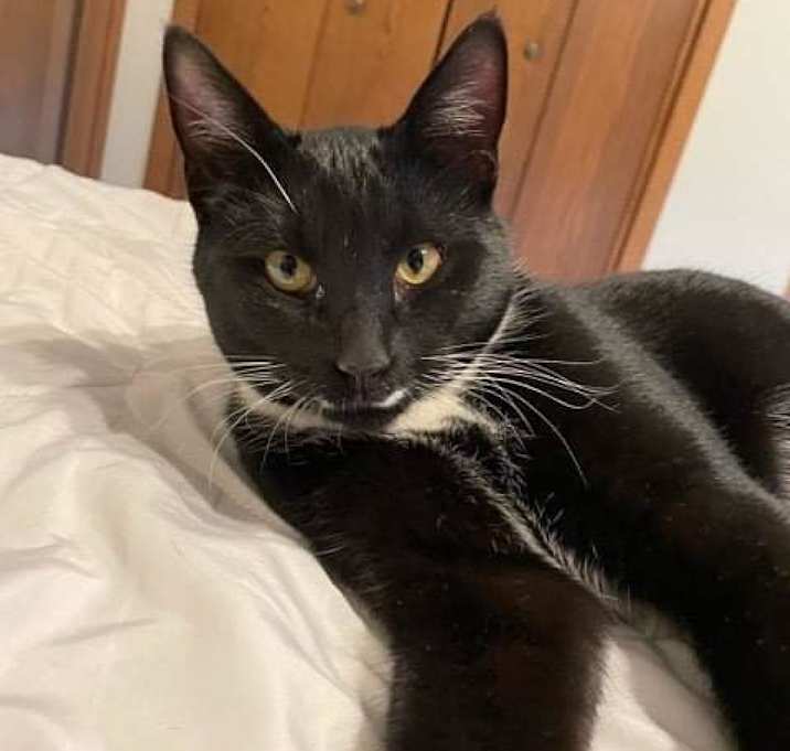 Photo of Sam