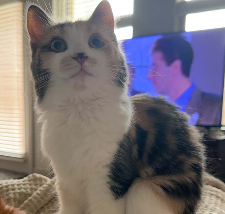 Photo of Lily