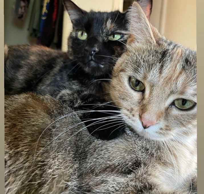 Photo of Boo & Momo