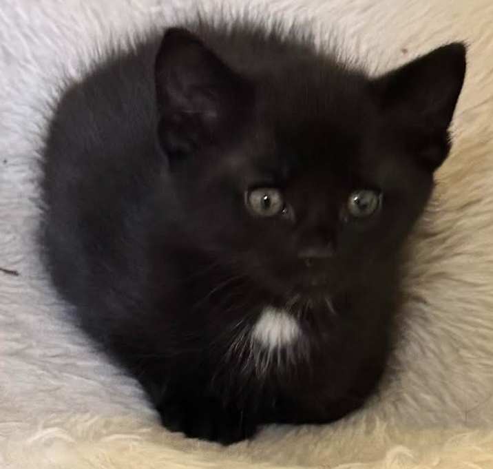 Photo of Cracker Jack