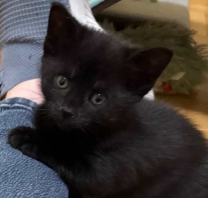 Photo of Jolene