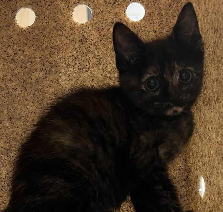 Photo of Sandy