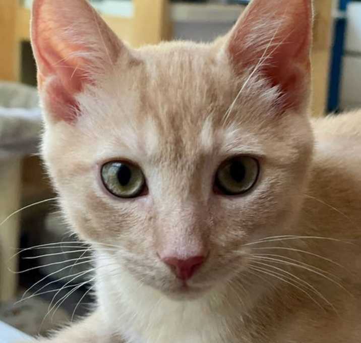 Photo of Mr Peanut