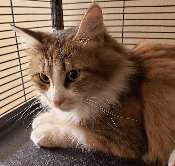 Photo of Zuri