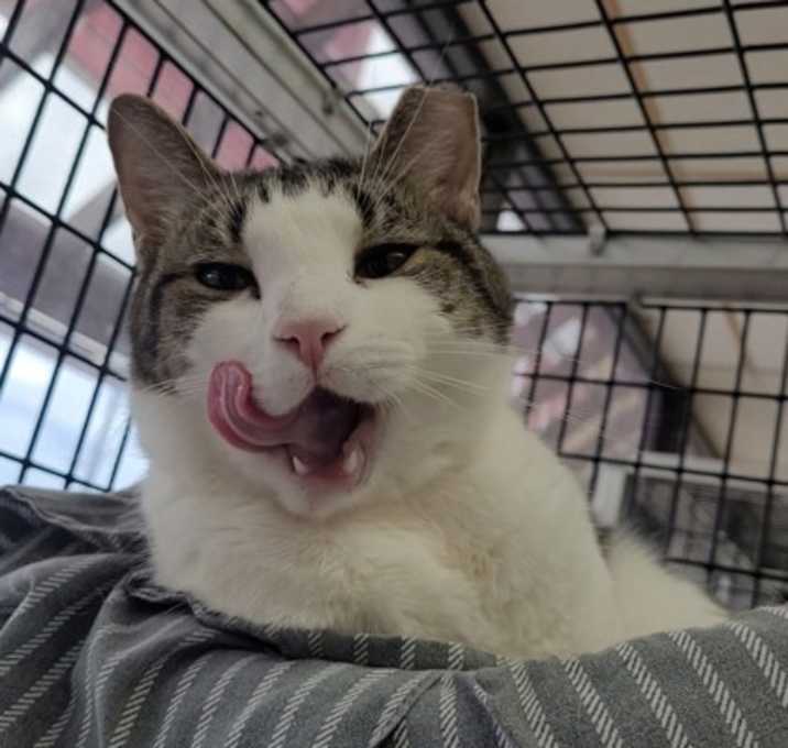 Photo of Beans