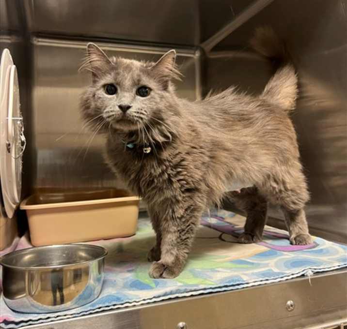 Photo of NALA
