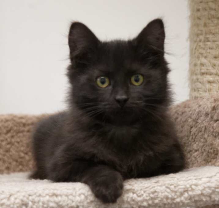 Photo of Mavis