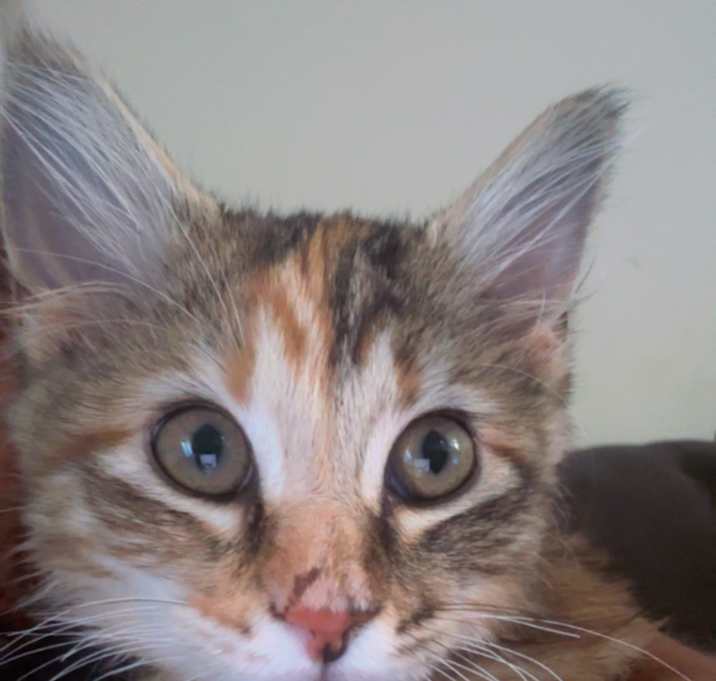 Photo of Ella