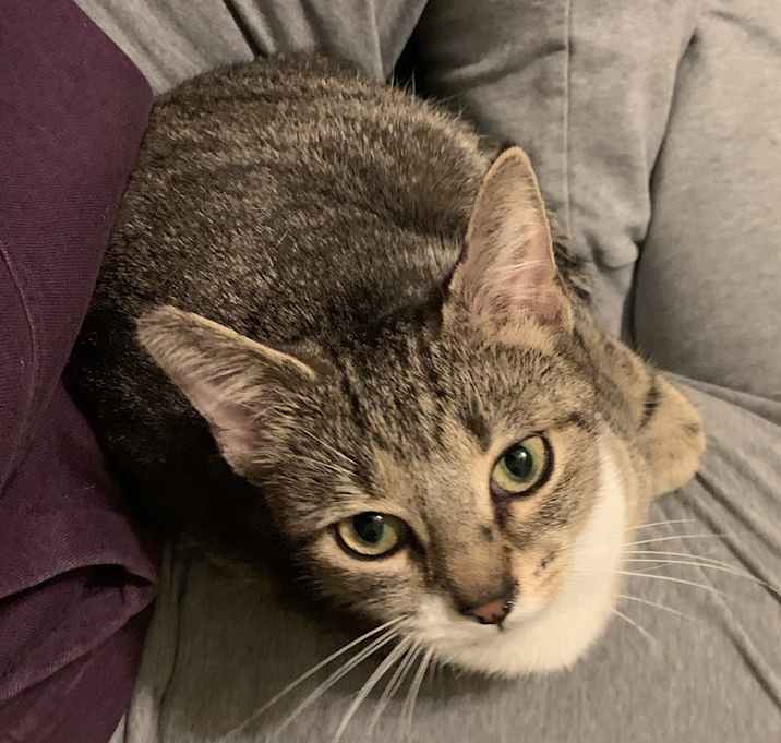 Photo of Rosie