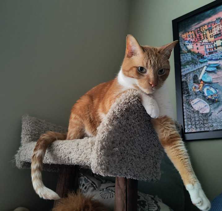 Photo of Dorian