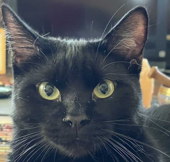 Photo of Lil Dude