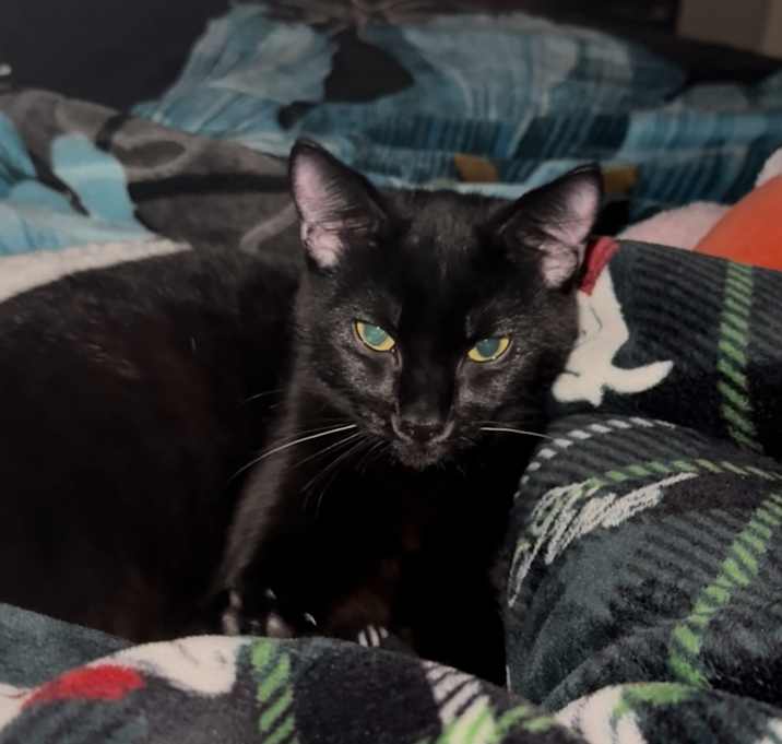 Photo of Winnie