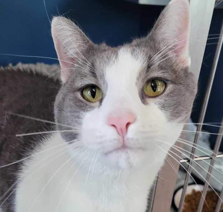 Photo of BOOTSIE