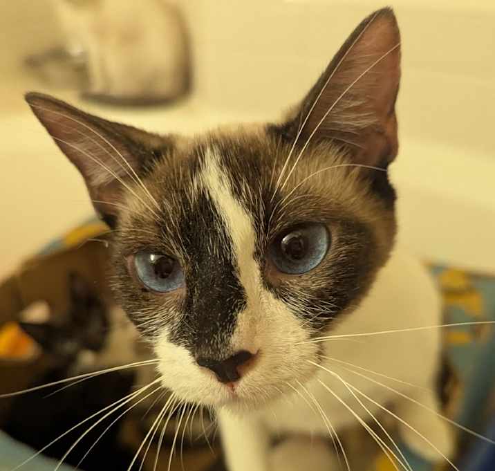 Photo of Ruby