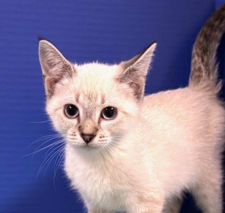 Photo of Jeopardy