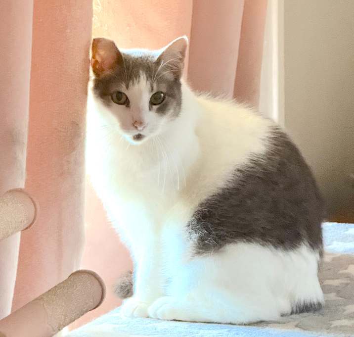 Photo of Clue